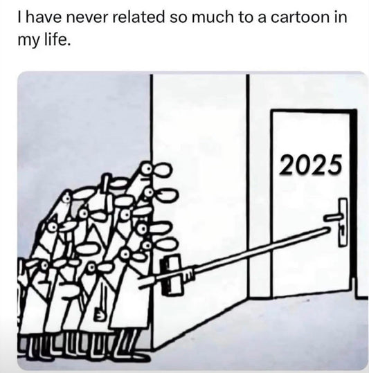 This cartoon sums up my view of 2025
