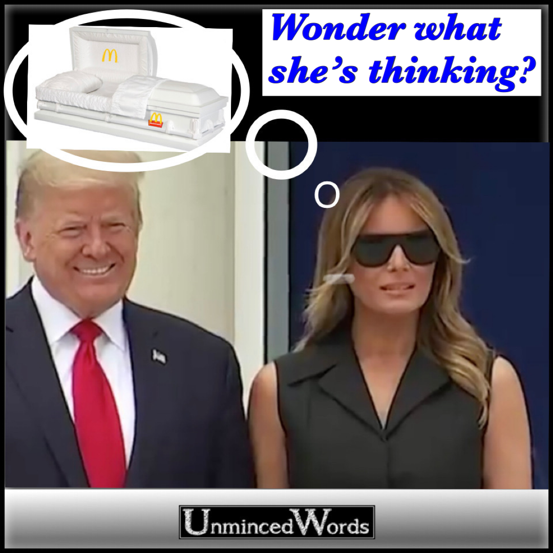 Ever wonder what Melania’s thinking?