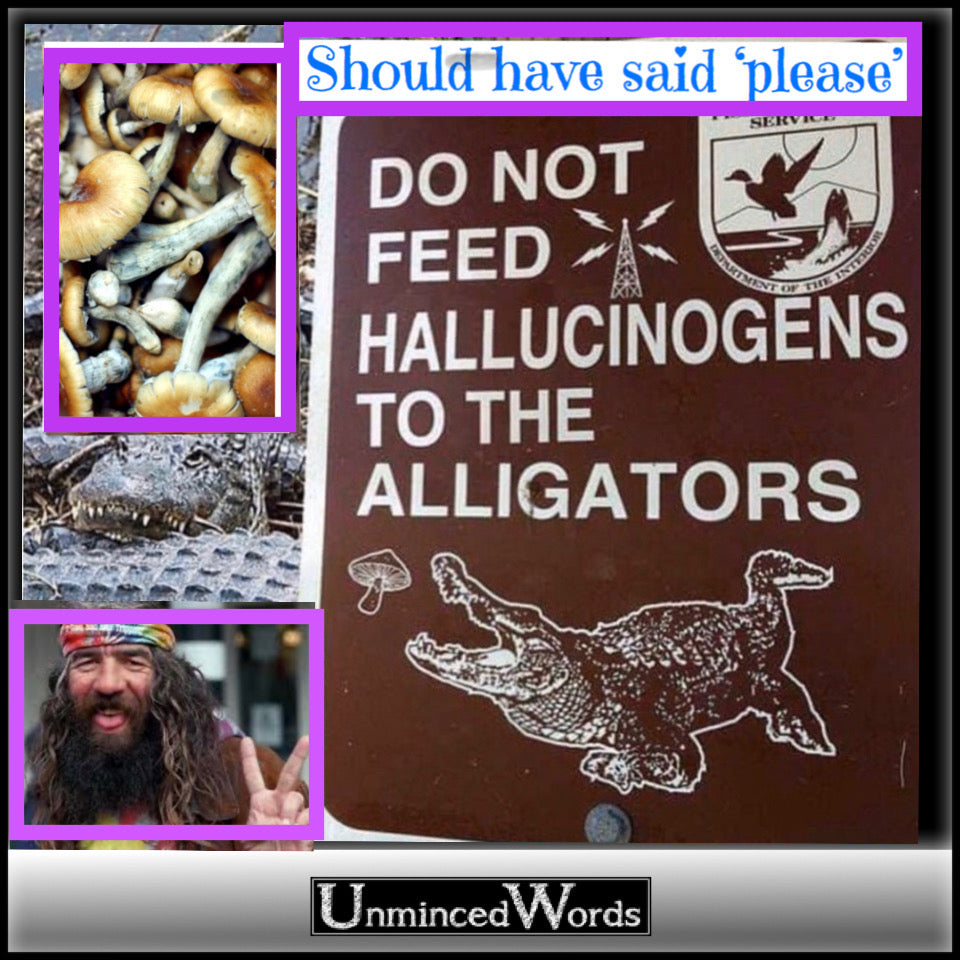 Shrooming alligators? Yes, please!