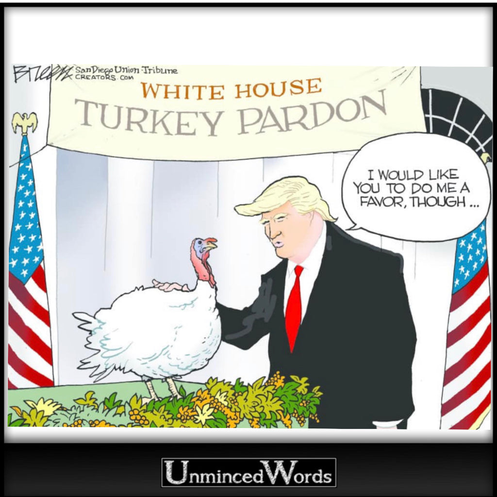 White House Turkey Pardon cartoon