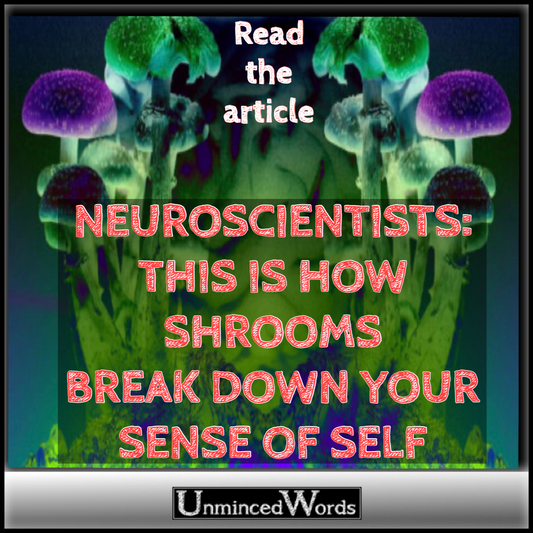 THIS IS HOW SHROOMS BREAK DOWN YOUR SENSE OF SELF