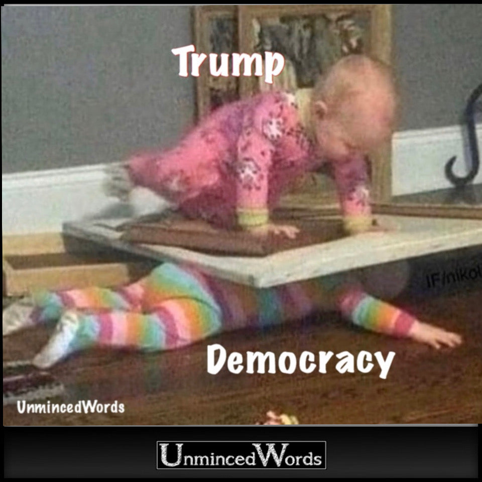 Trump takes out Democracy