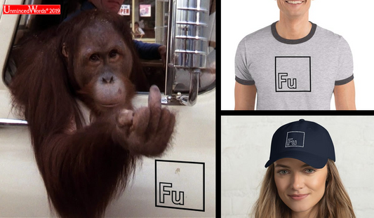 Picture This - Fu Element