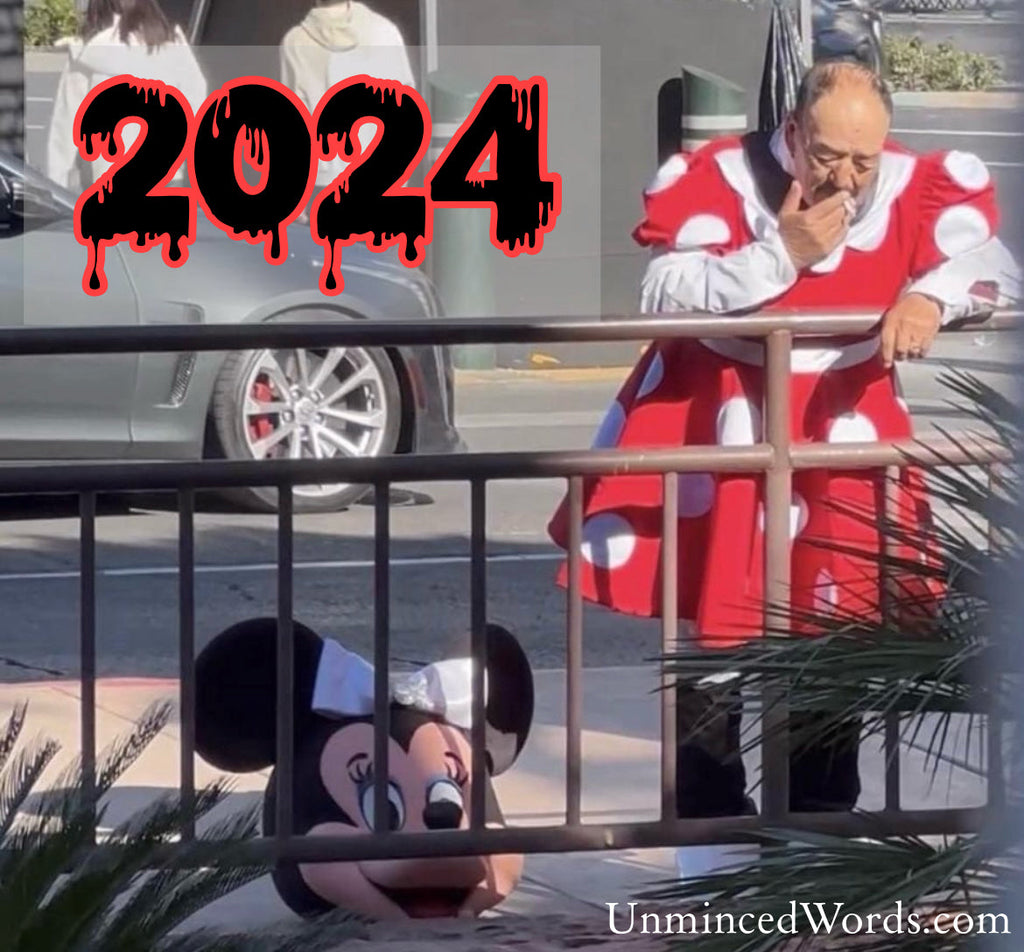 What 2024 looks like in summary