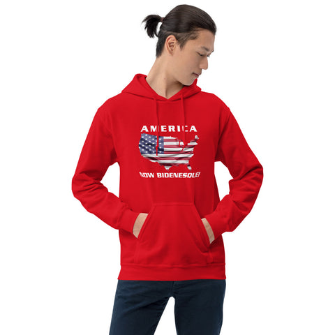 America Now Bidenesque - Hoodie